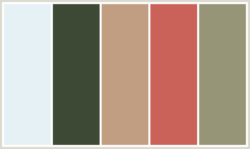 Colorblock 381 ColorCombo381 with Hex Colors #E6F1F5 #3D4935 #C19E82 #CA6259 #969577