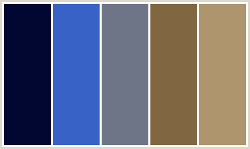 Color Code 404 ColorCombo404 with Hex Colors #020731 #3862C6 #6E7587 #806641 #AE956D