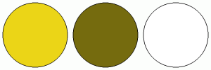 ColorCombo872 with Hex Colors #EBD517 #756B0E #FFFFFF