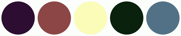 ColorCombo8558 with Hex Colors #2D0E32 #8C4646 #FAFCB8 #0A210D #527186