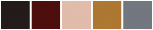 ColorCombo8889 with Hex Colors #241B1B #4D0E0E #E1BCAB #AC7832 #737780