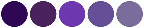 Color Code 9101 ColorCombo9101 with Hex Colors #2E0854 #4B235C #6E38B0 #655096 #796C9B