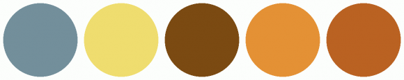 ColorCombo9584 with Hex Colors #738F9B #EFDD6F #7B4A12 #E49135 #BA6222
