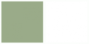 9aab Hex Color Rgb 154 171 137 Green Sage 9aab Hex Color Rgb 154 171 137 Green Sage