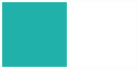 ColorCombo9535 with Hex Colors #20B2AA #FFFFFF