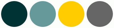 ColorCombo9641 with Hex Colors #003333 #669999 #FFCC00 #666666