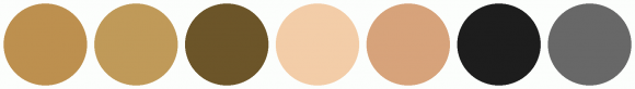686868 Color Code ColorCombo11057 with Hex Colors #BD904F #C09A59 #6C5529 #F3CDA8 #D7A37B ...