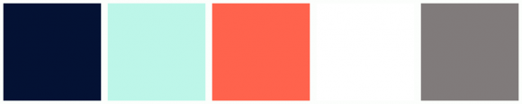 ColorCombo9776 with Hex Colors #041234 #BDF6E9 #FF634D #FFFFFF #807B7B