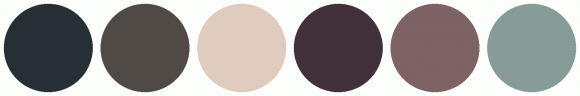 ColorCombo9764 with Hex Colors #262F34 #4F4A45 #DFCCBE #42313A #7D6364 ...