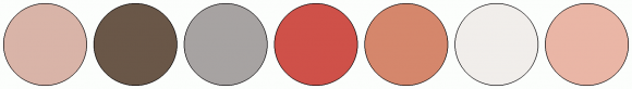 ColorCombo10070 with Hex Colors #D9B4A8 #6A5748 #A7A3A2 #CF5149 #D5876C ...