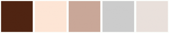 ColorCombo10290 with Hex Colors #4F2412 #FDE5D5 #C9A798 #CCCCCC #E9E0DB