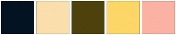 Py5464 Color ColorCombo1654 with Hex Colors #041322 #FADFAD #4E420C #FCD667 #FBB2A3