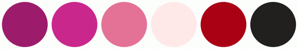 ColorCombo10941 with Hex Colors #9C1C6B #CA278C #E47297 #FFE9E8 #AA0114 ...