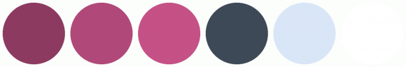ColorCombo1757 with Hex Colors #8D3A61 #B04979 #C55186 #3E4957 #D9E6F7 ...