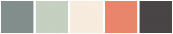 ColorCombo10967 with Hex Colors #828E8C #C5D0C1 #F8ECDE #E8866C #494546