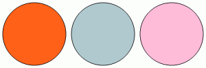 ColorCombo14327 with Hex Colors #FF6119 #AFC9CE #FFBCD9