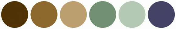 ColorCombo11162 with Hex Colors #513306 #8D682E #BDA071 #729073 #B5C9B5 ...
