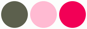 ColorCombo2096 with Hex Colors #5C604D #FFBAD2 #F20056