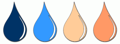 ColorCombo11561 with Hex Colors #003366 #3399FF #FFCC99 #FF9966