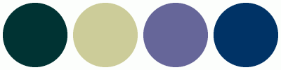 ColorCombo11600 with Hex Colors #003333 #CCCC99 #666699 #003366