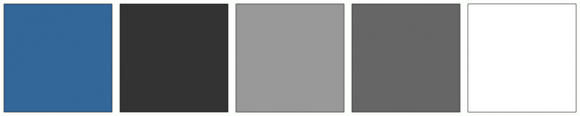 ColorCombo10809 with Hex Colors #336699 #333333 #999999 #666666 #FFFFFF