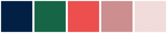 Color 201851 ColorCombo12051 with Hex Colors #022044 #156546 #ED4E4E #CC8E8E #F1DBDB