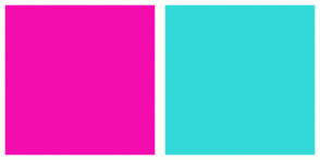 Color Tags Shocking Pink