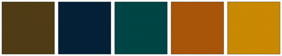 ColorCombo13365 with Hex Colors #4F3B15 #042036 #004545 #A85509 #C98902