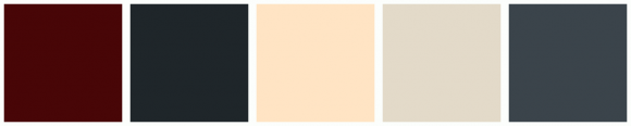 ColorCombo13510 with Hex Colors #480607 #1F262A #FFE4C4 #E3DAC9 #3B444B