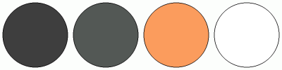 ColorCombo14363 with Hex Colors #3E3E3E #535855 #FB9C5D #FFFFFF