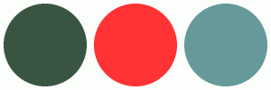 ColorCombo14927 with Hex Colors #395542 #FF3333 #669999