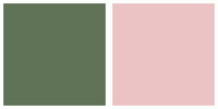ColorCombo3073 with Hex Colors #607356 #EBC3C5