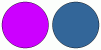 Color Code Cc00ff ColorCombo3092 with Hex Colors #CC00FF #336699