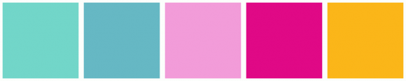 ColorCombo14279 with Hex Colors #72D6C9 #66B8C4 #F29CD9 #E00986 #FBB619