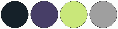 ColorCombo16498 with Hex Colors #152129 #473E67 #C9E77A #9F9F9F