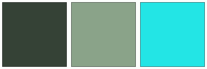 ColorCombo16958 with Hex Colors #354236 #8AA389 #23E5E5