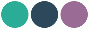 ColorCombo17309 with Hex Colors #2BAC96 #2C485A #9A6B94