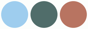 ColorCombo17443 with Hex Colors #9ECDEE #506D6A #B87461