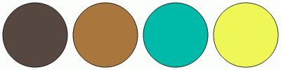 ColorCombo17515 with Hex Colors #564841 #A9763D #00BAA9 #EEF756