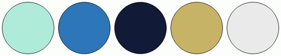 ColorCombo17551 with Hex Colors #AEECD9 #2E76BA #111A36 #C7B366 #EAEAEA