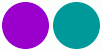 ColorCombo4510 with Hex Colors #9900CC #009999