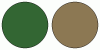 ColorCombo4987 with Hex Colors #336633 #8C7853