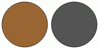 ColorCombo5119 with Hex Colors #996633 #545454