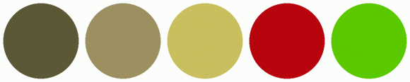 ColorCombo692 with Hex Colors #5C5837 #9C9060 #C9BF5F #B8040D #5BC900