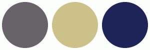 ColorCombo693 with Hex Colors #686369 #CCC289 #1E2457