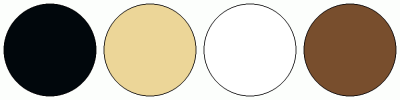 Color Scheme #15682 – Matching Colors & Palettes | ColorCombos