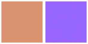 Color Tags / 9966ff