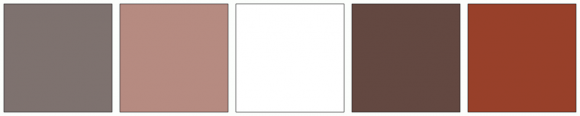 ColorCombo16440 with Hex Colors #7E726F #B68B81 #FFFFFF #634841 #98402A
