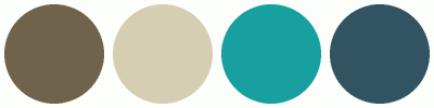 ColorCombo8849 with Hex Colors #70634C #D6CEB2 #189F9F #325361