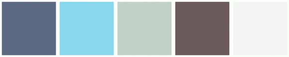 ColorCombo6458 with Hex Colors #5C6983 #89D7ED #C1D3C8 #6A5A5B #F5F4F4